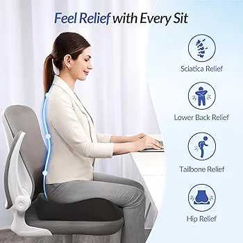 Pioneering Ergonomic Seat Cushions